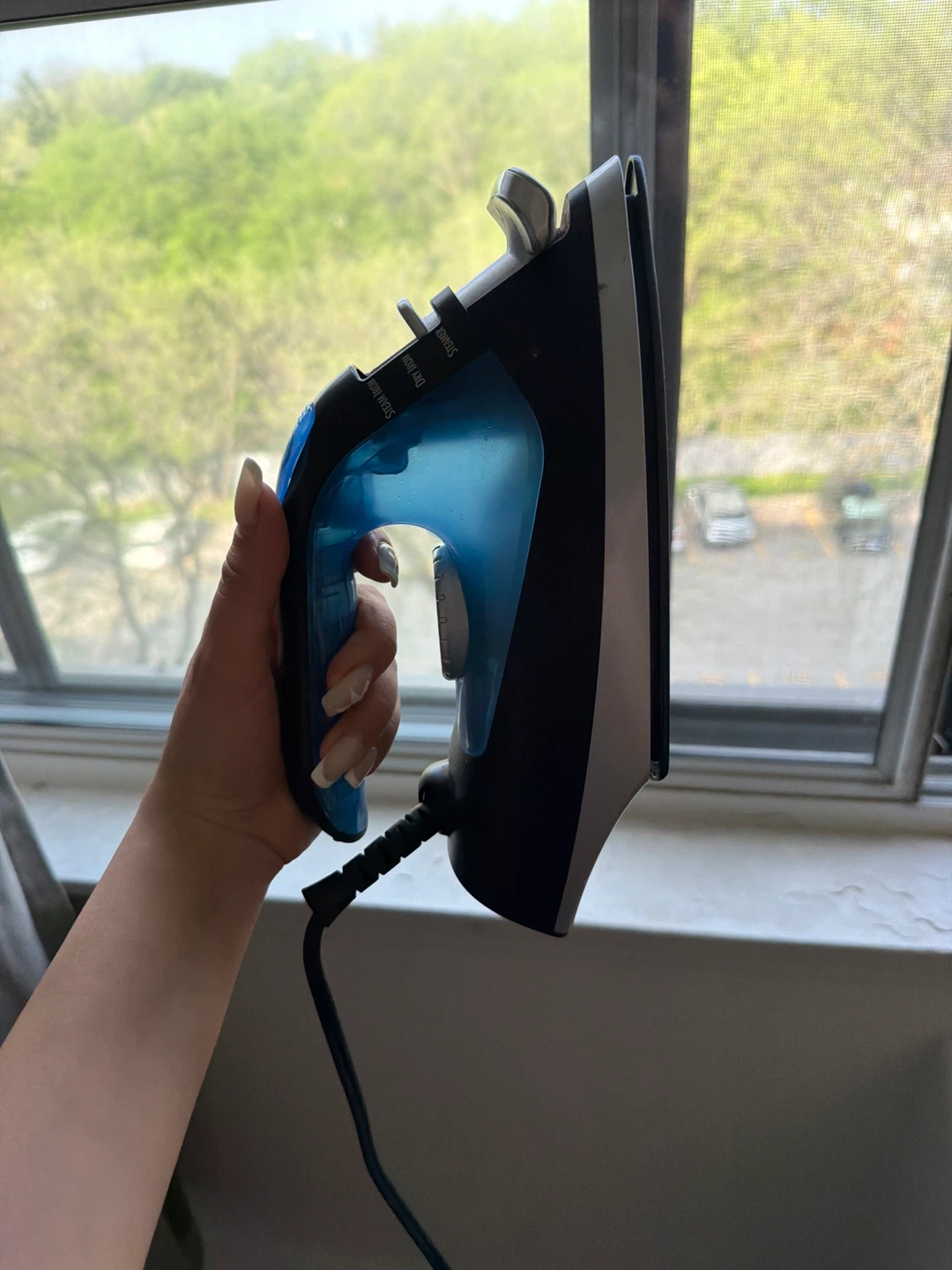 Black and Blue Steam Iron