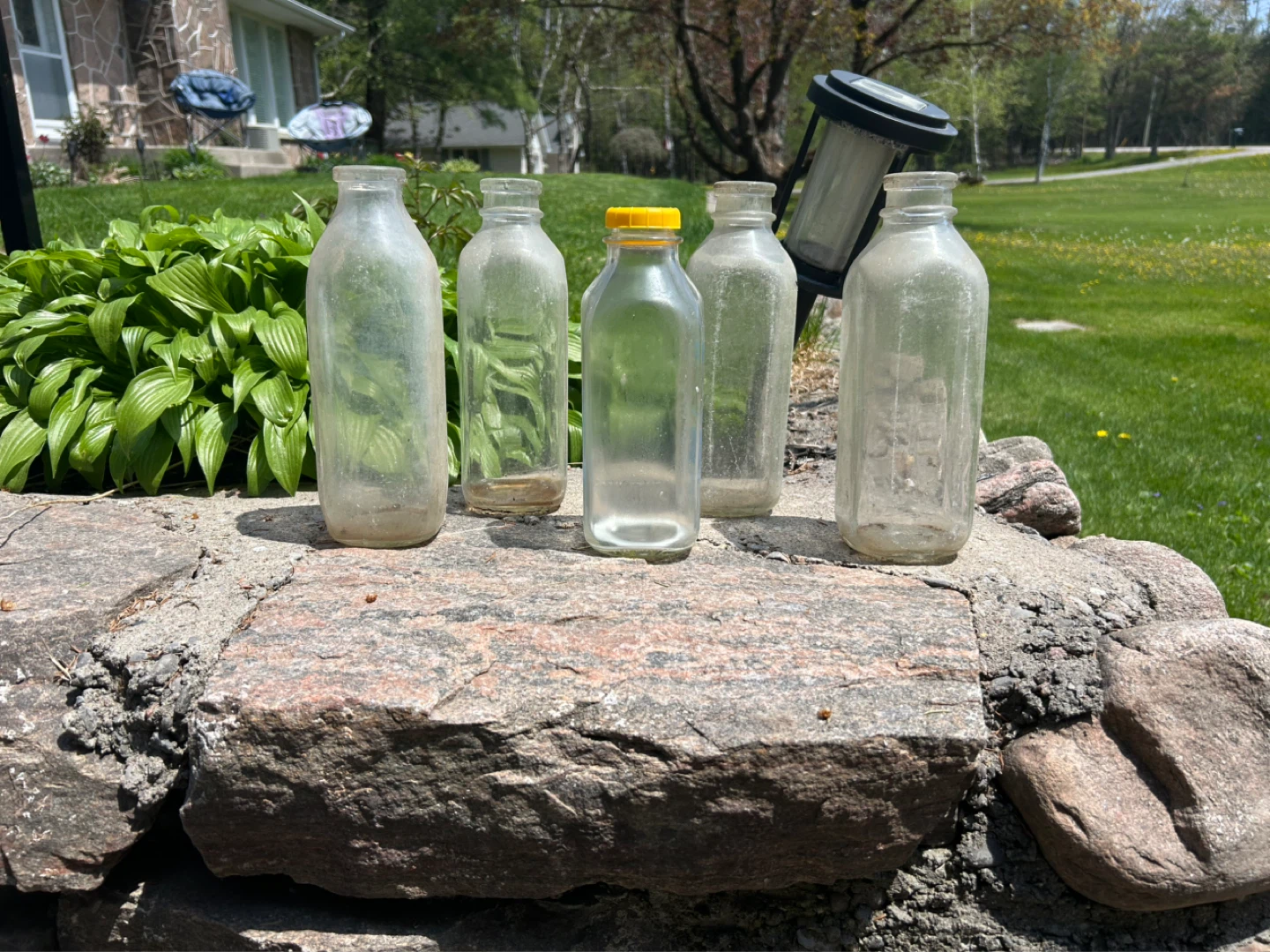 Vintage Glass Milk Bottles with Wire Rack