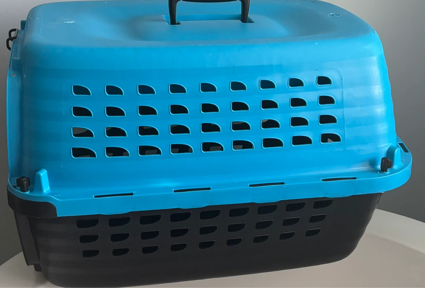 Petmate Pet Carrier - photo 2