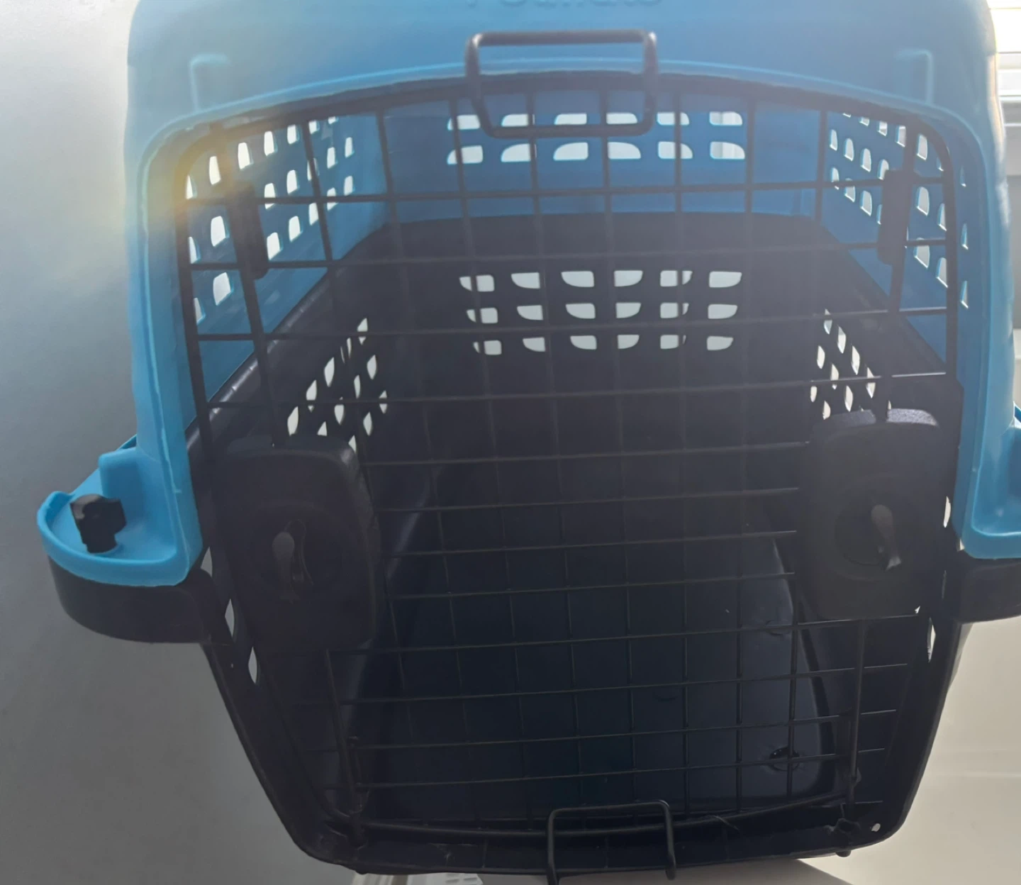 Petmate Pet Carrier
