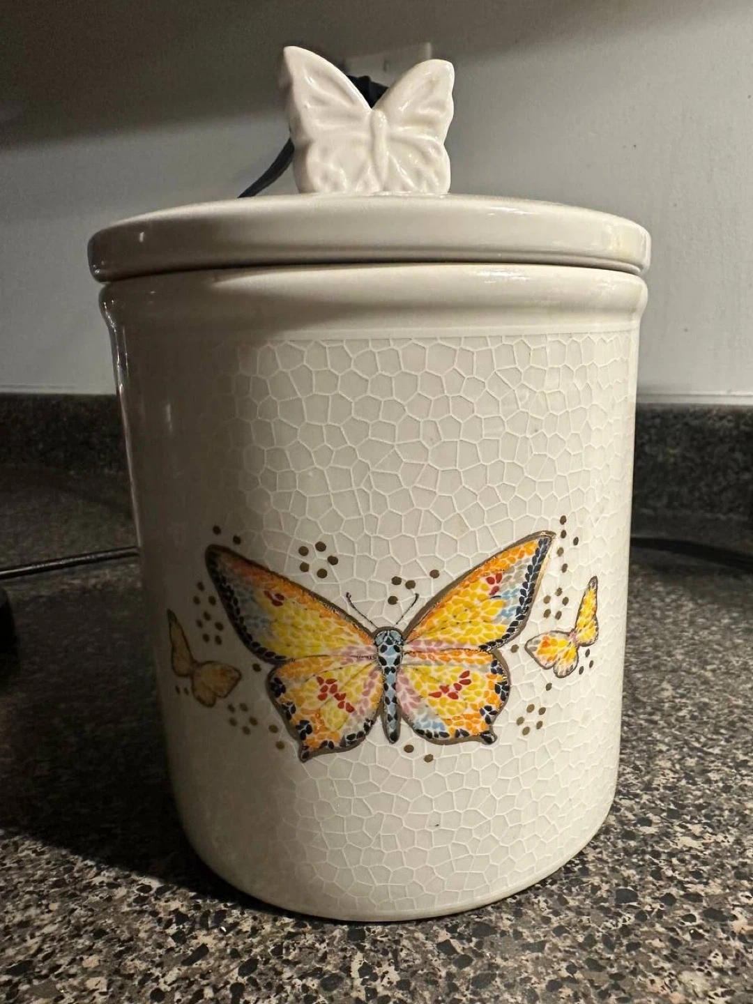Ceramic Butterfly Canister