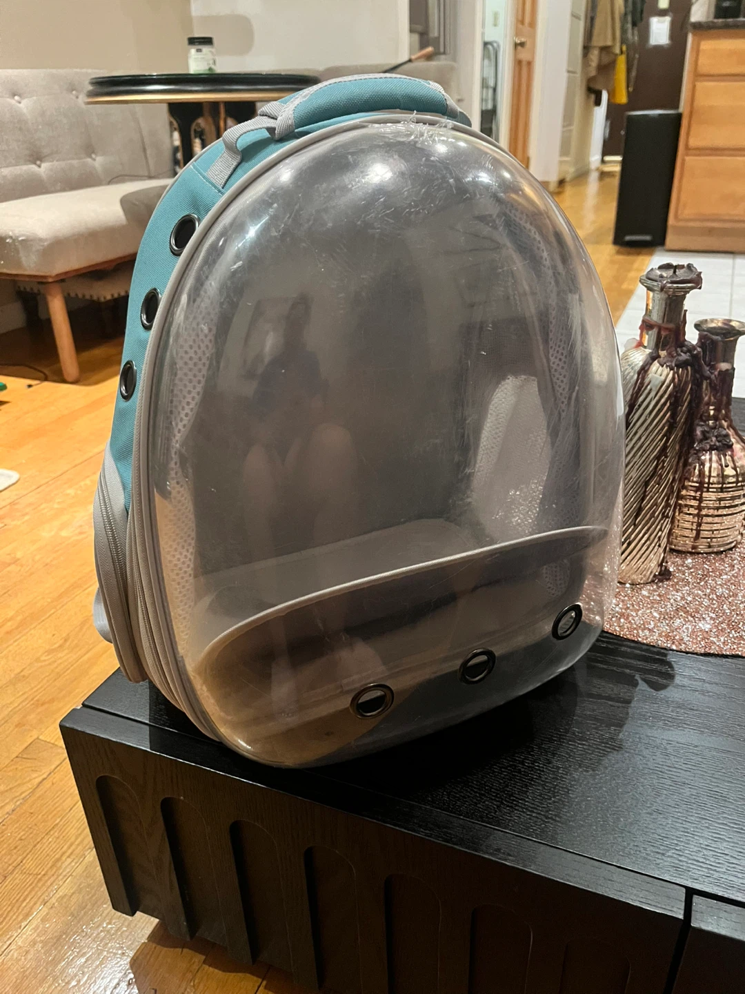Never used Pet Carrier Backpack with Clear Bubble Dome