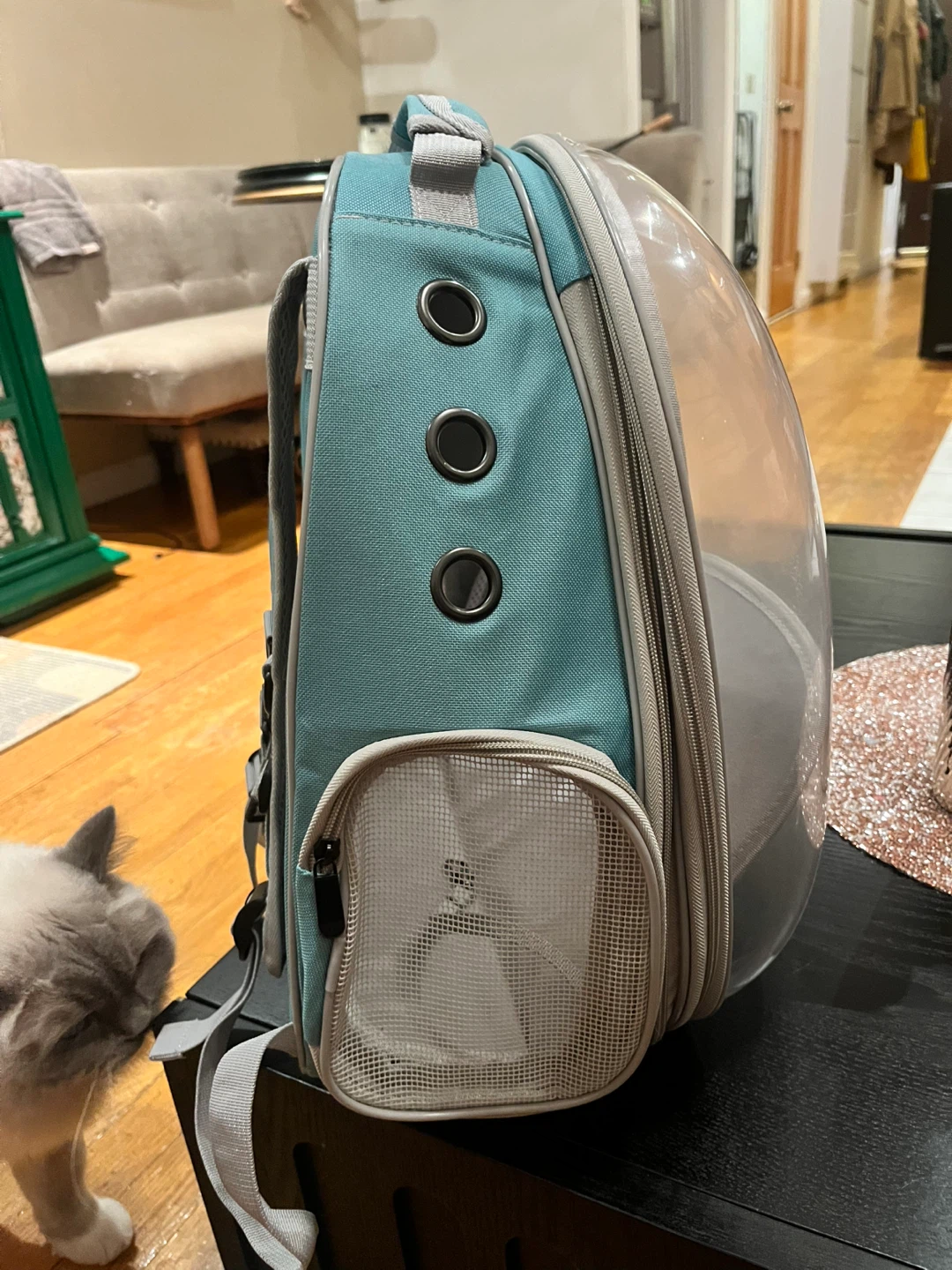 Never used Pet Carrier Backpack with Clear Bubble Dome - photo 2