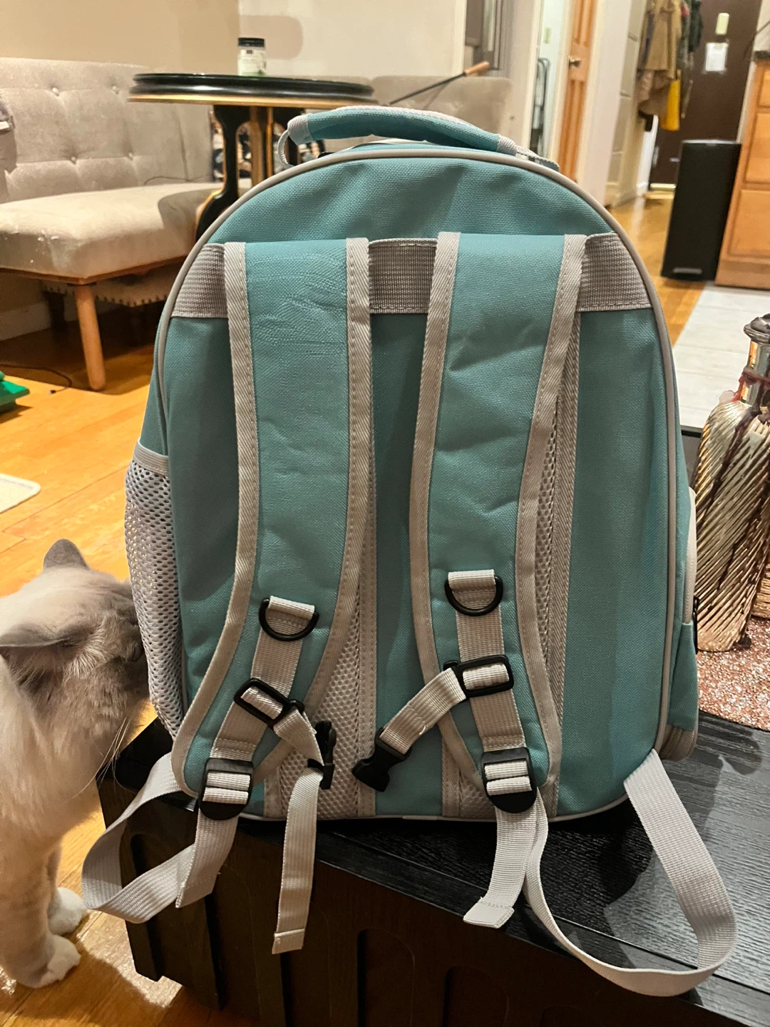 Never used Pet Carrier Backpack with Clear Bubble Dome - photo 3