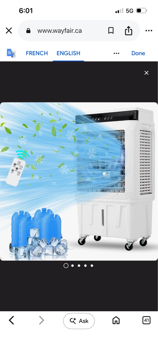 3-in-1 Multi-Purpose Air Cooler
