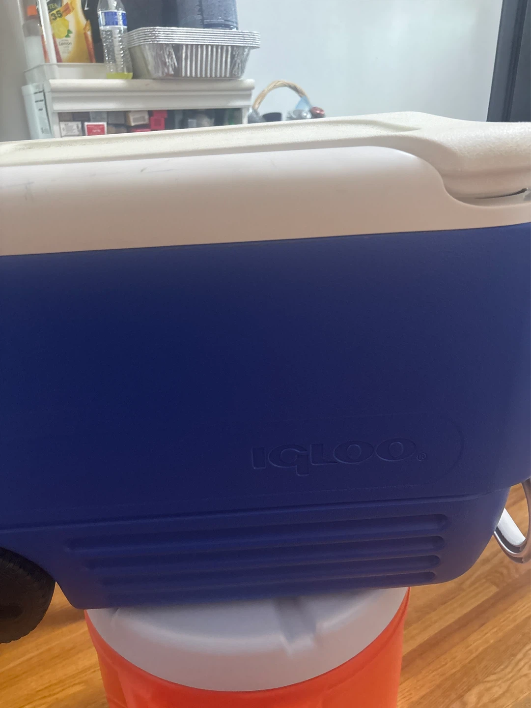 Igloo Cooler