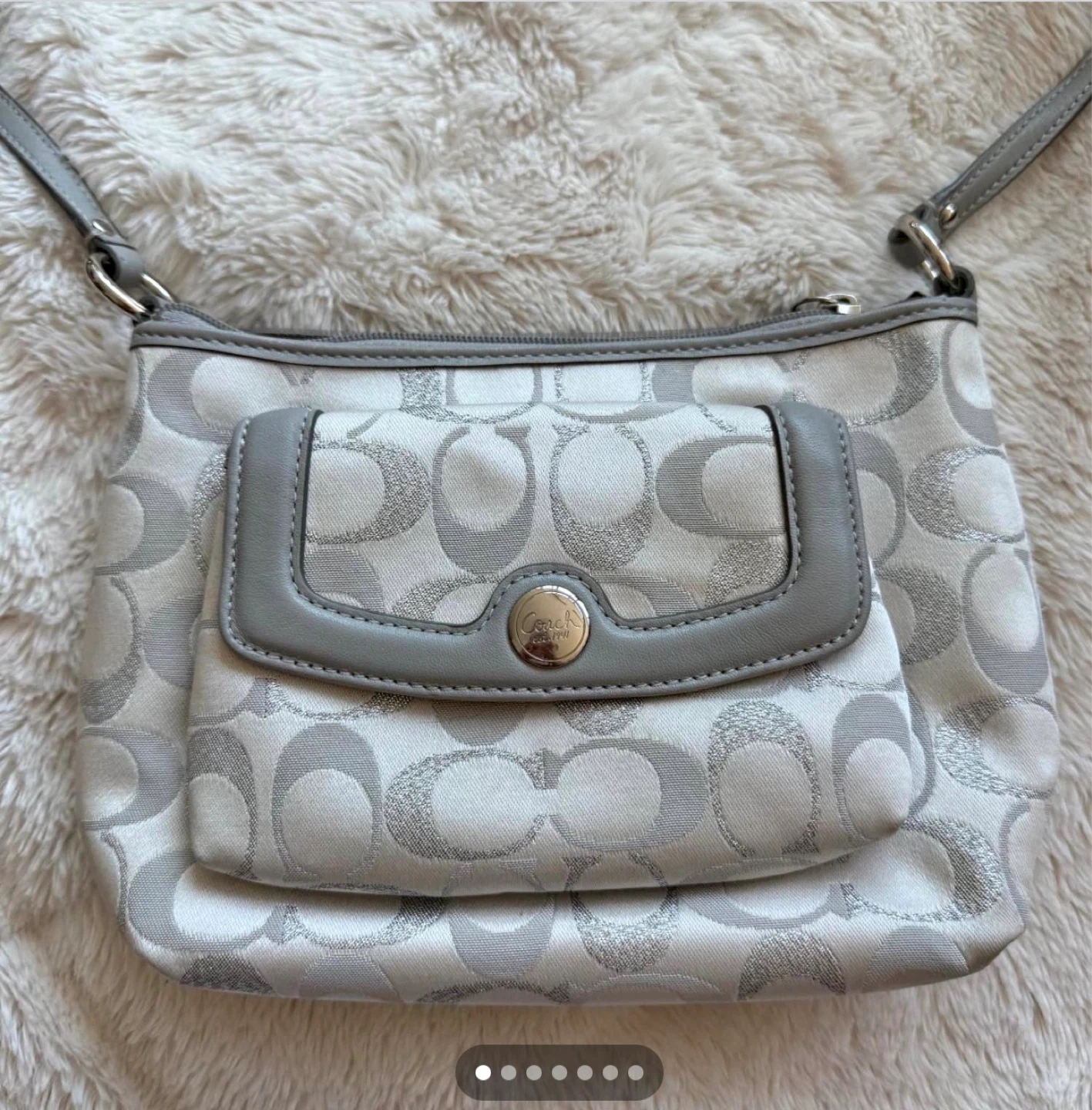 Coach Signature C Print Small Crossbody Bag - Silver/White