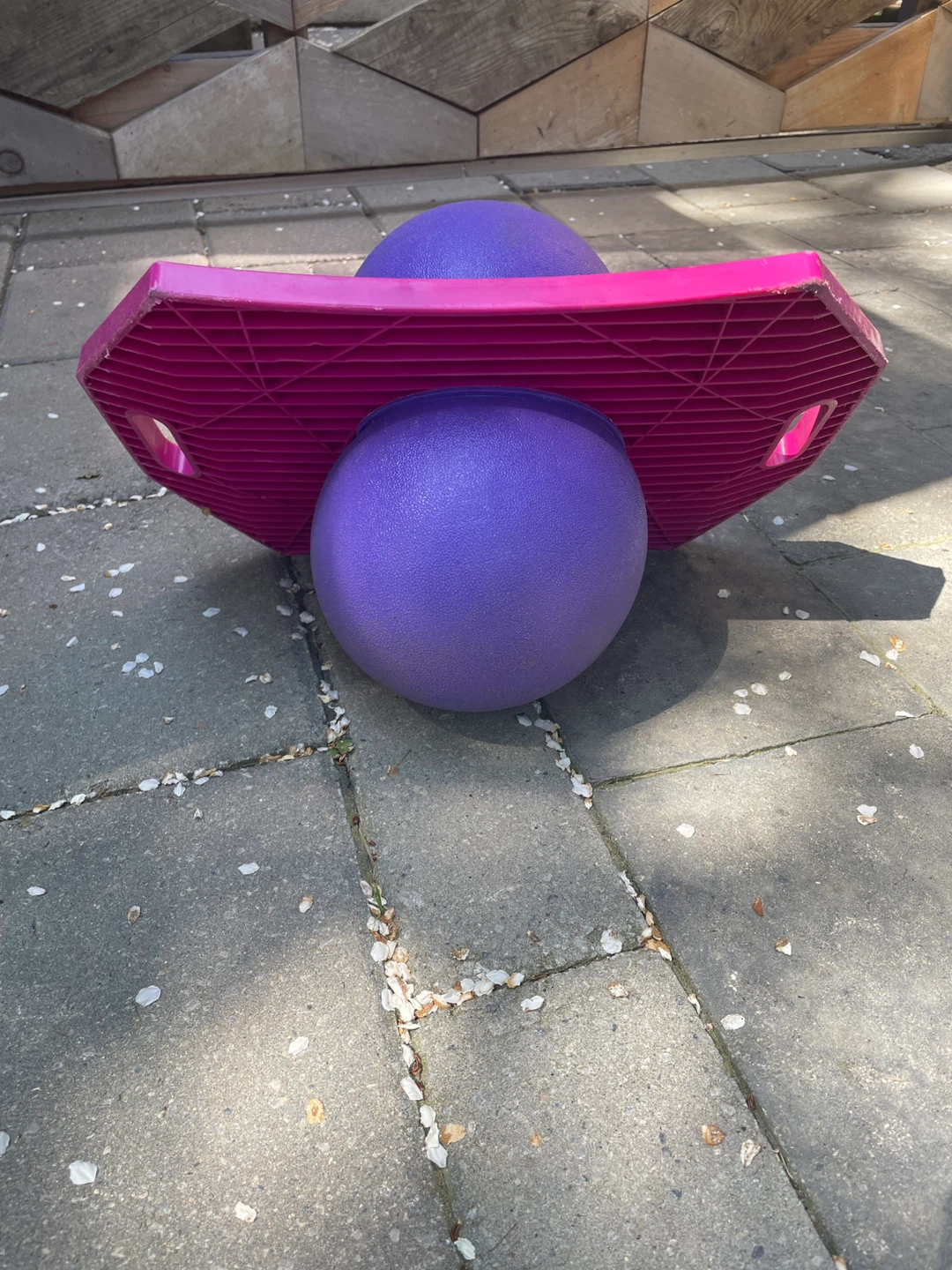 Pogo Ball - photo 2