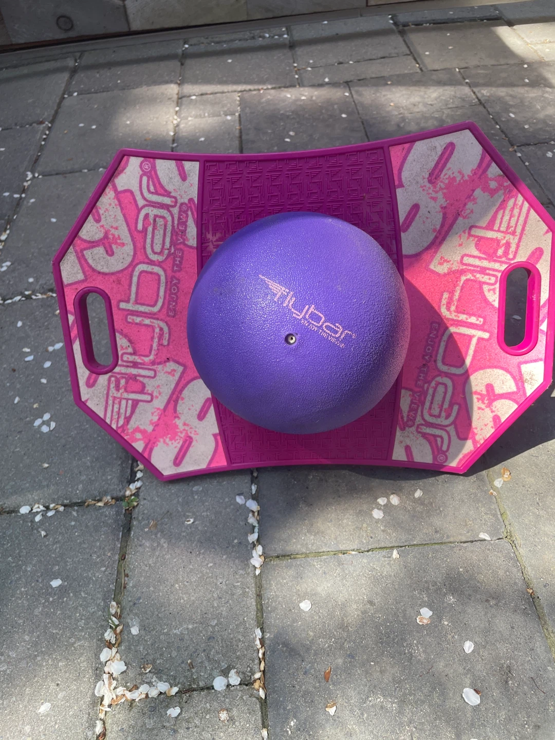 Pogo Ball