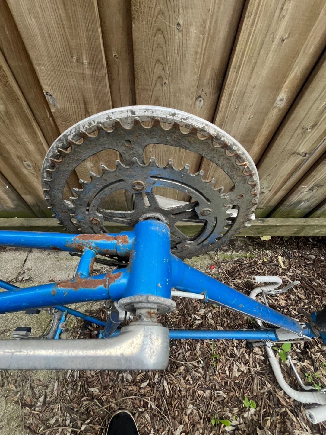 Blue Bicycle Frame - photo 5