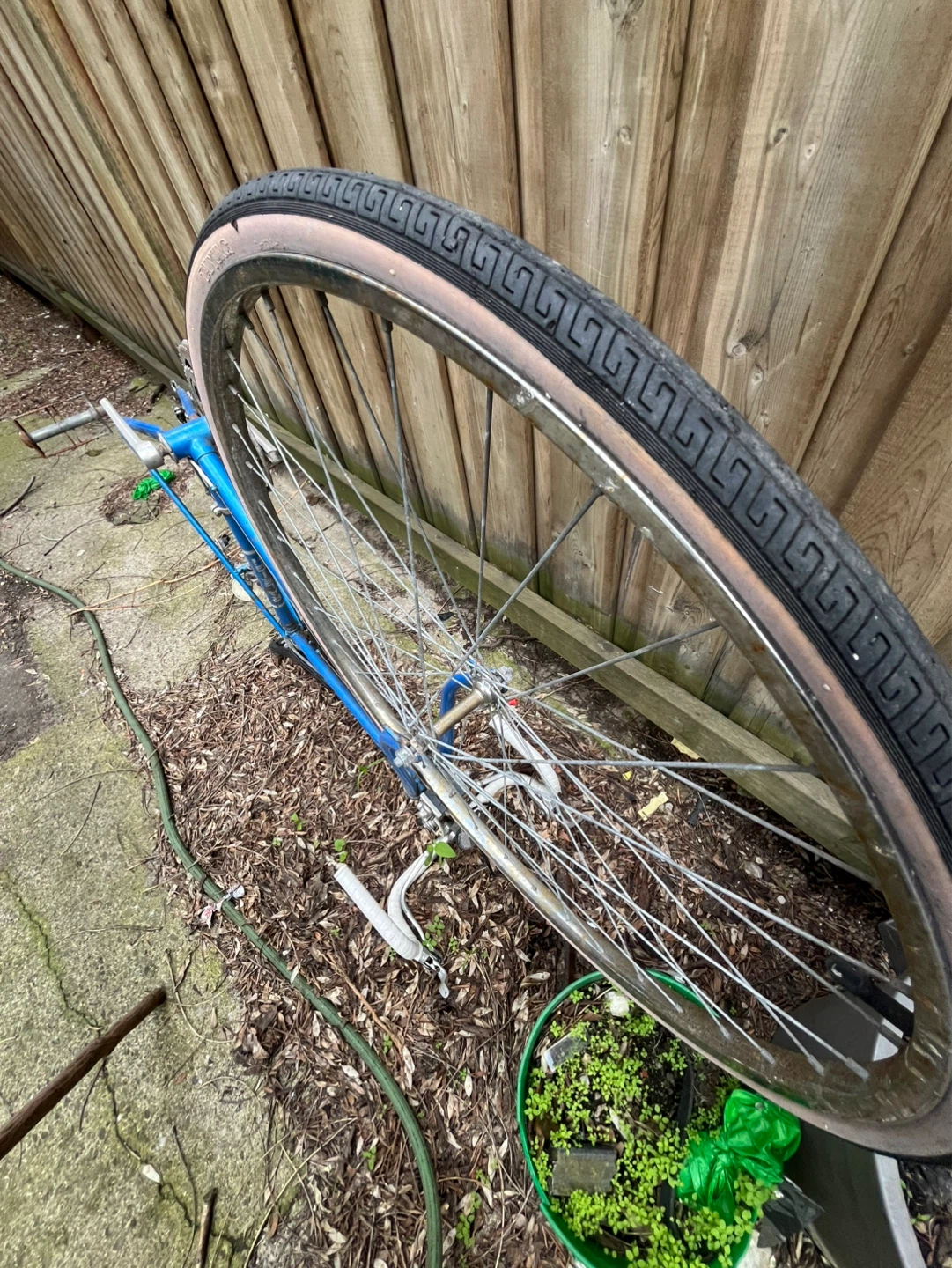 Blue Bicycle Frame - photo 4