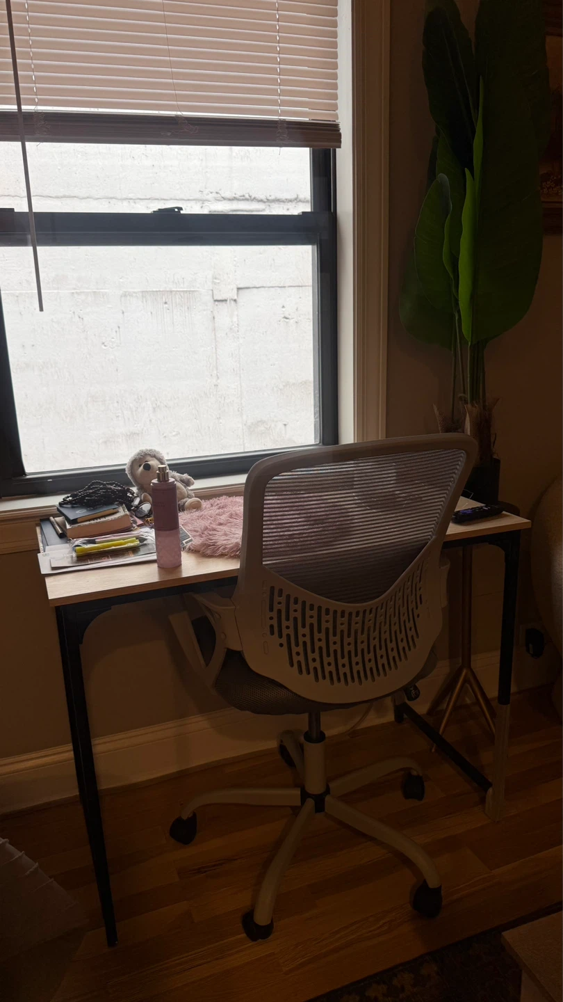 Ergonomic Office Chair