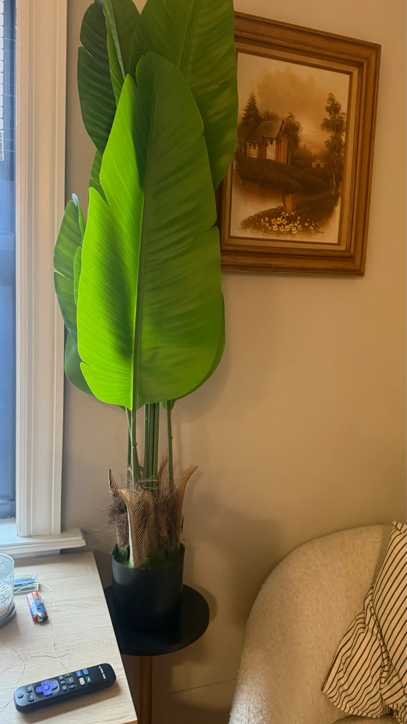 Artificial Bird of Paradise Plant in Pot