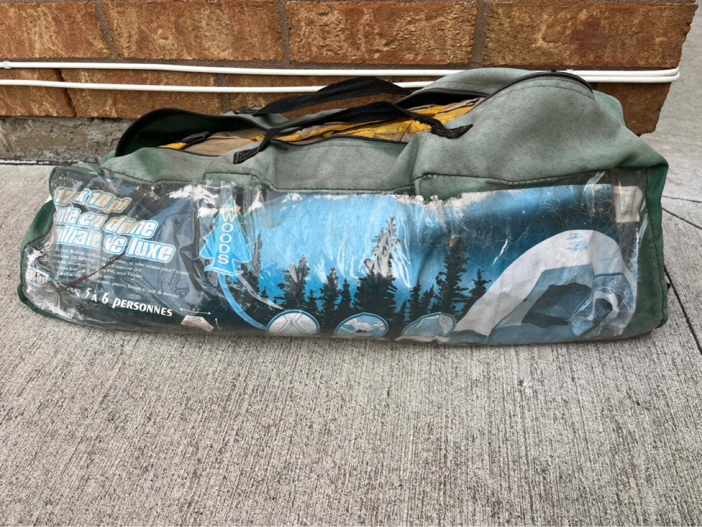 Woods 6 Person Dome Tent