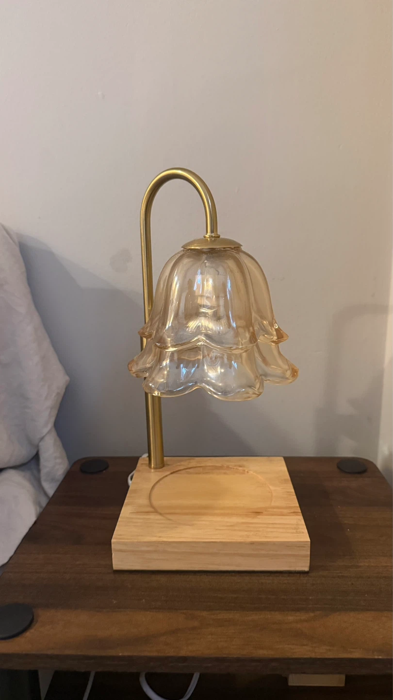 Glass Lamp with Wooden Base