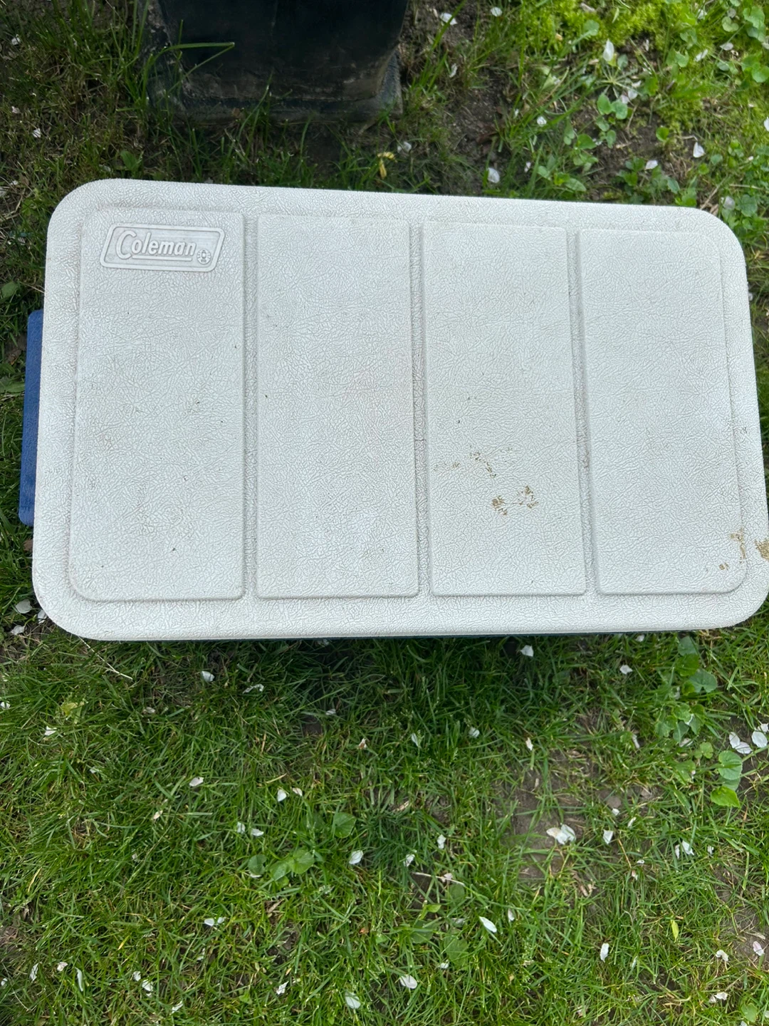Coleman PolyLite 34 Cooler - photo 2