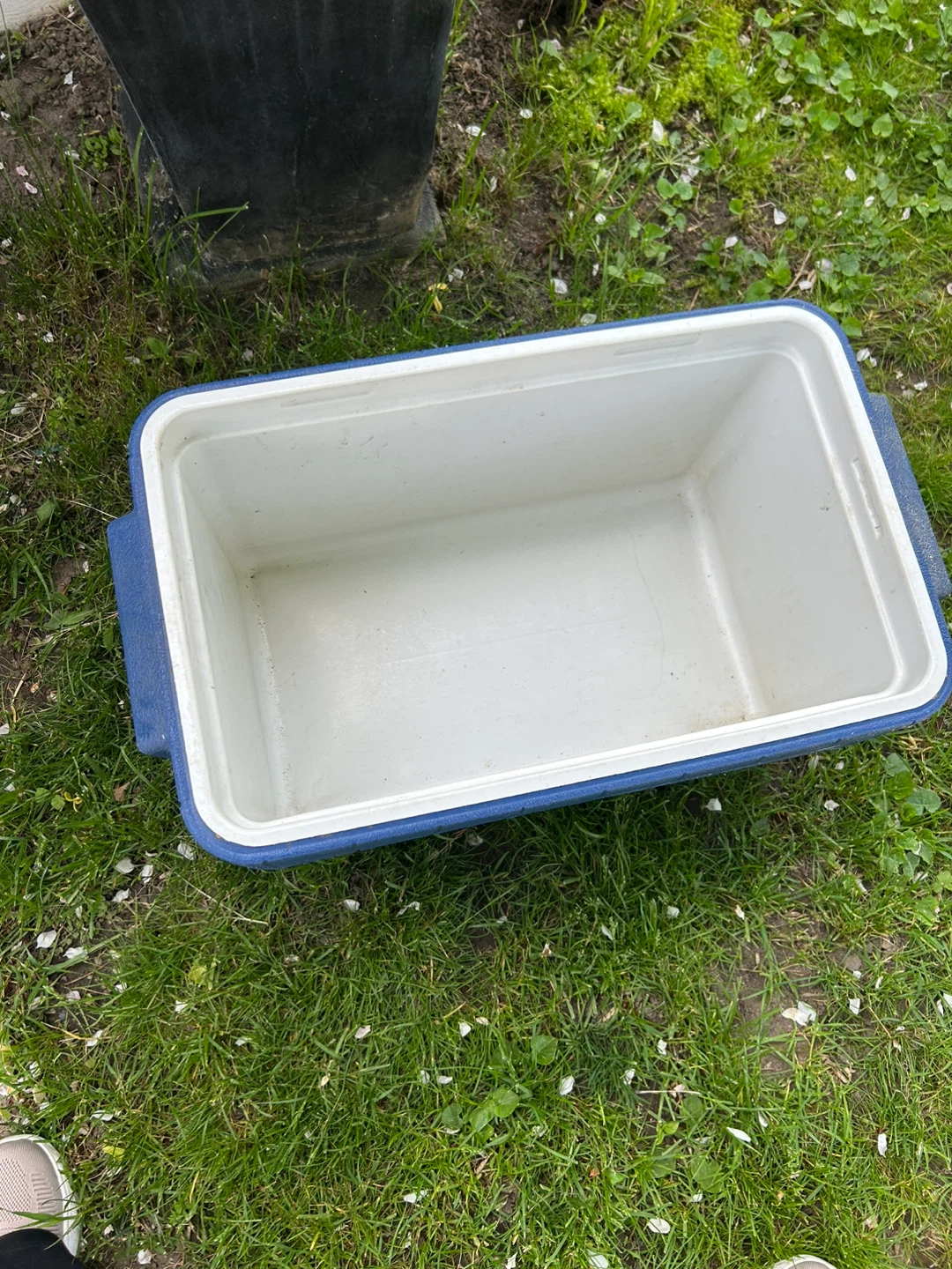 Coleman PolyLite 34 Cooler - photo 3