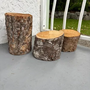 Set of 3 Wood Slice Stumps