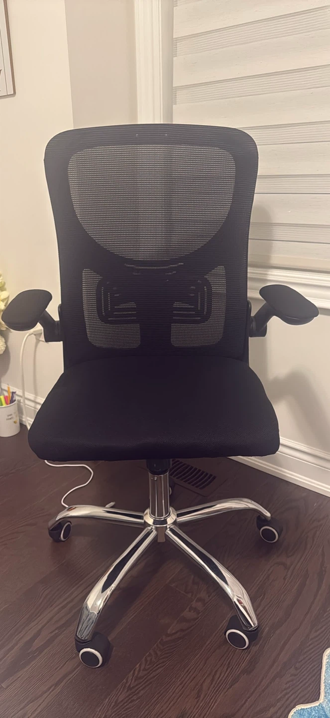 Black Mesh Office Chair with Adjustable Arms