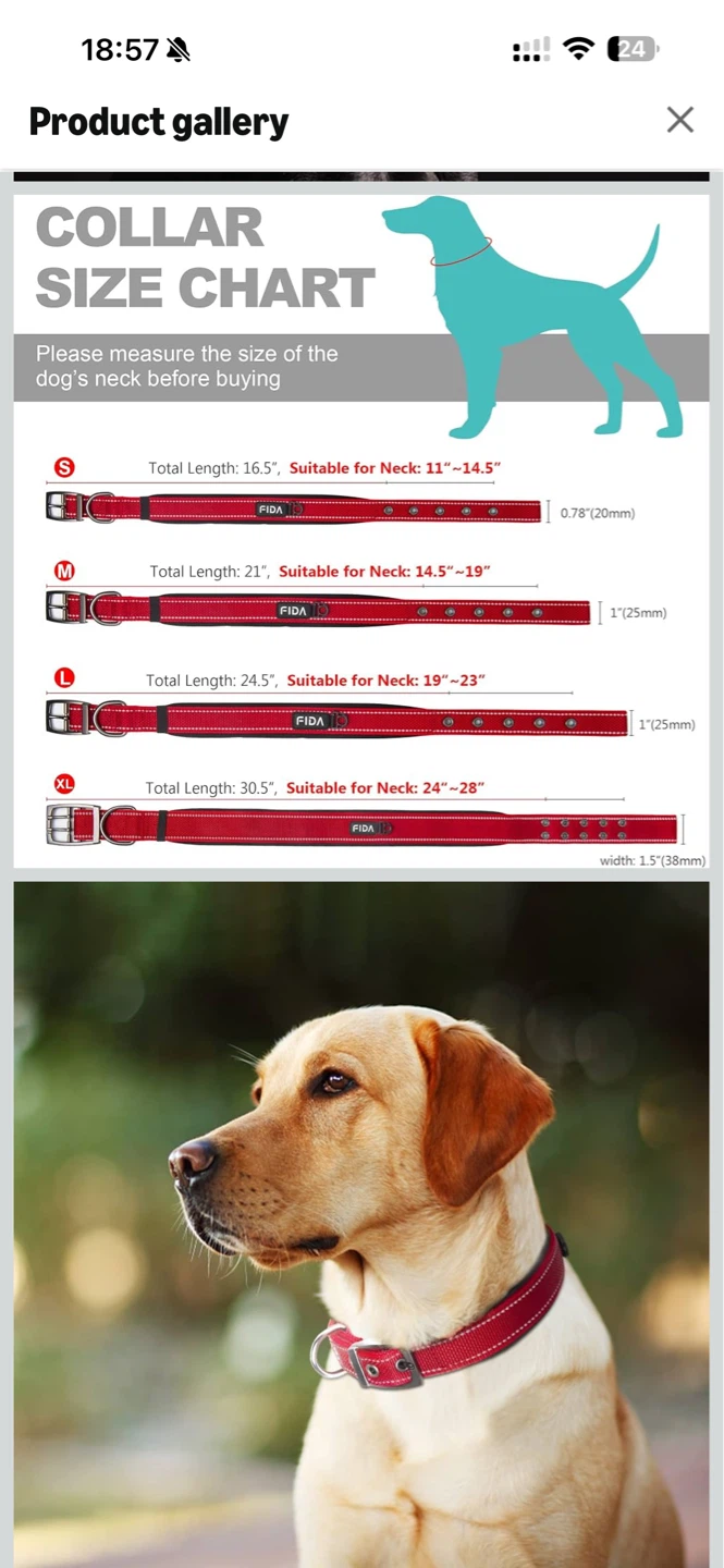 FIDA Red Heavy Duty Dog Collar with Reflective Stitching - photo 3