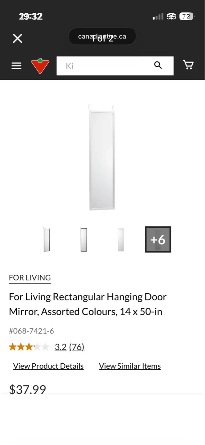 Rectangular Hanging Door Mirror, 14 x 50-in
