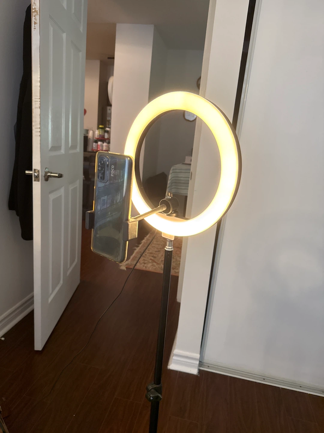 Ring Light with Phone Mount - photo 3