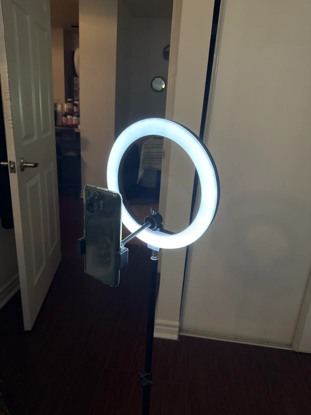 Ring Light with Phone Mount - photo 4