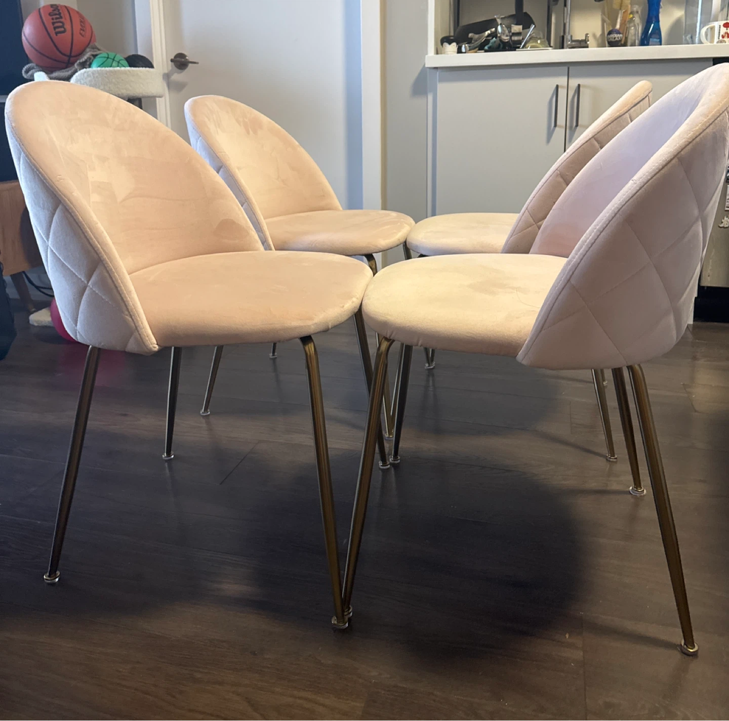 Pink Velvet Dining Chair with Gold Legs