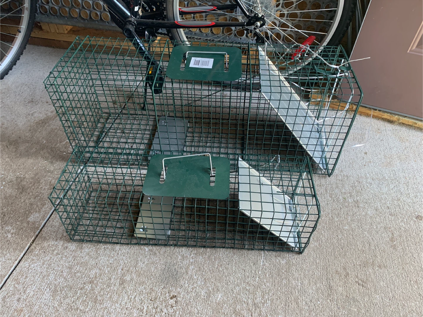 Animal traps