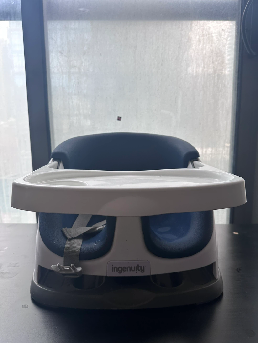 Ingenuity Baby Booster Seat