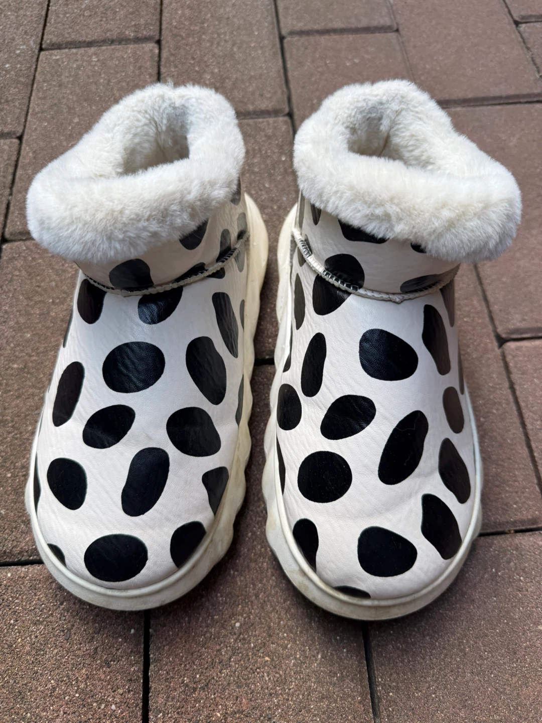 Women's Dalmatian Print Cozy Boots Size 8-9