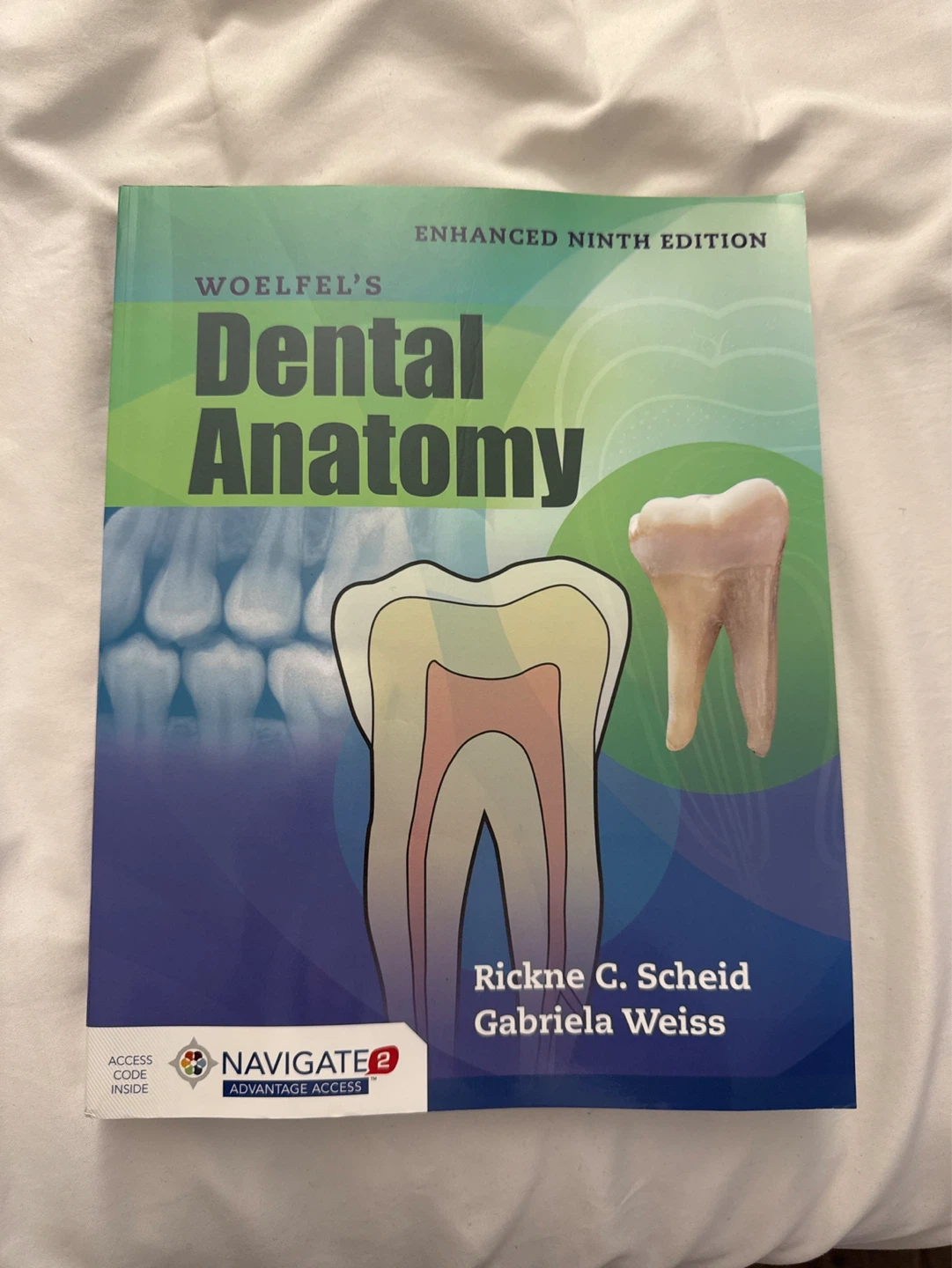 Woelfel's Dental Anatomy Enhanced Ninth Edition Textbook
