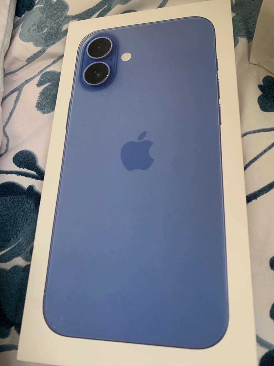 Apple iPhone 16 Plus Silicone Case