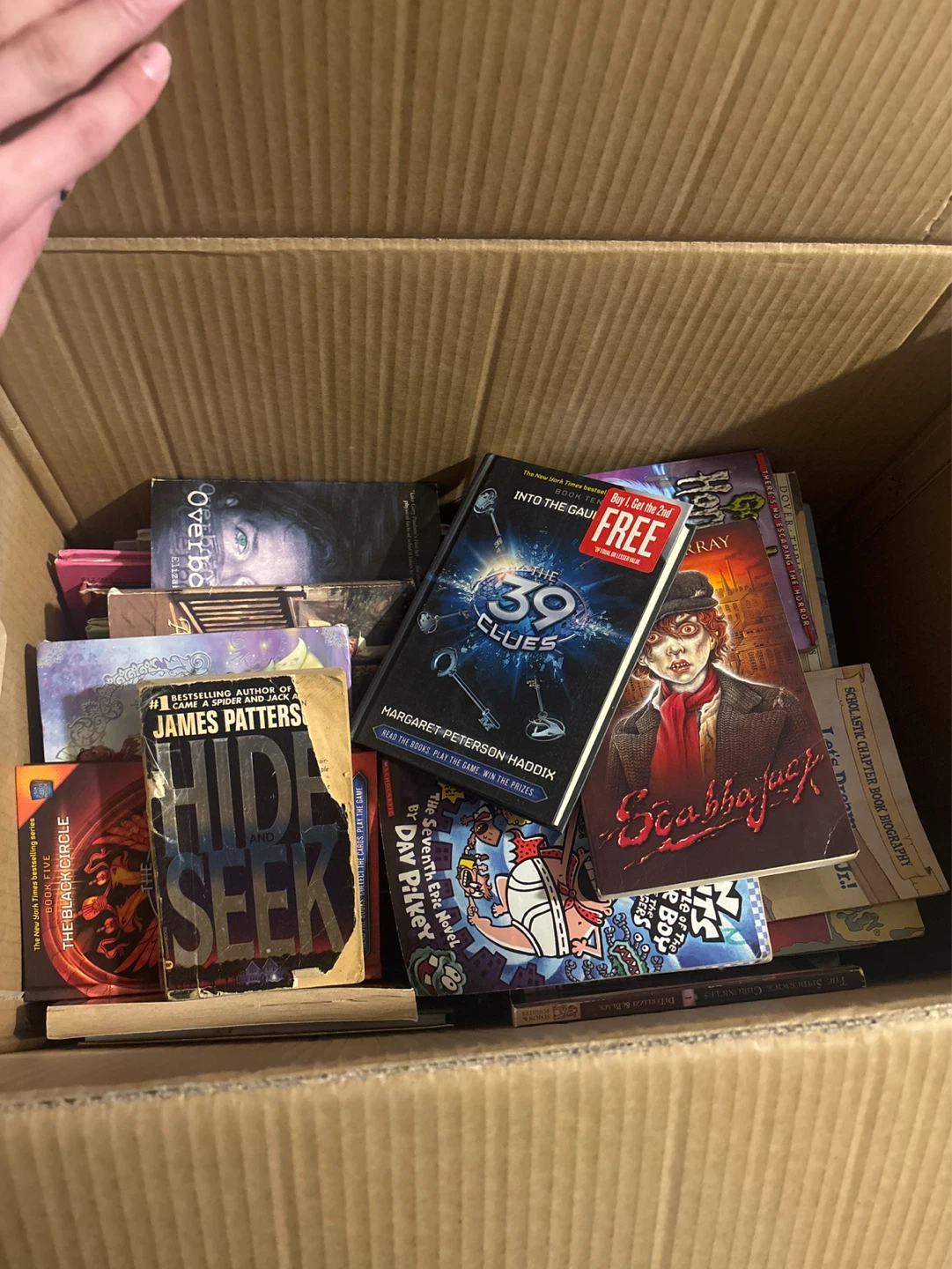Large Box of Radom Books