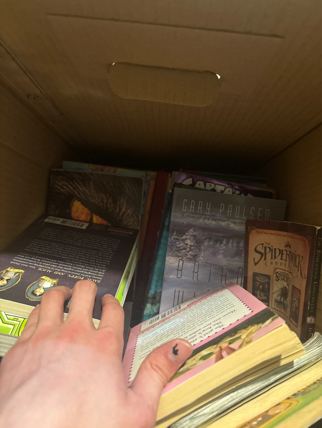 Large Box of Radom Books - photo 3