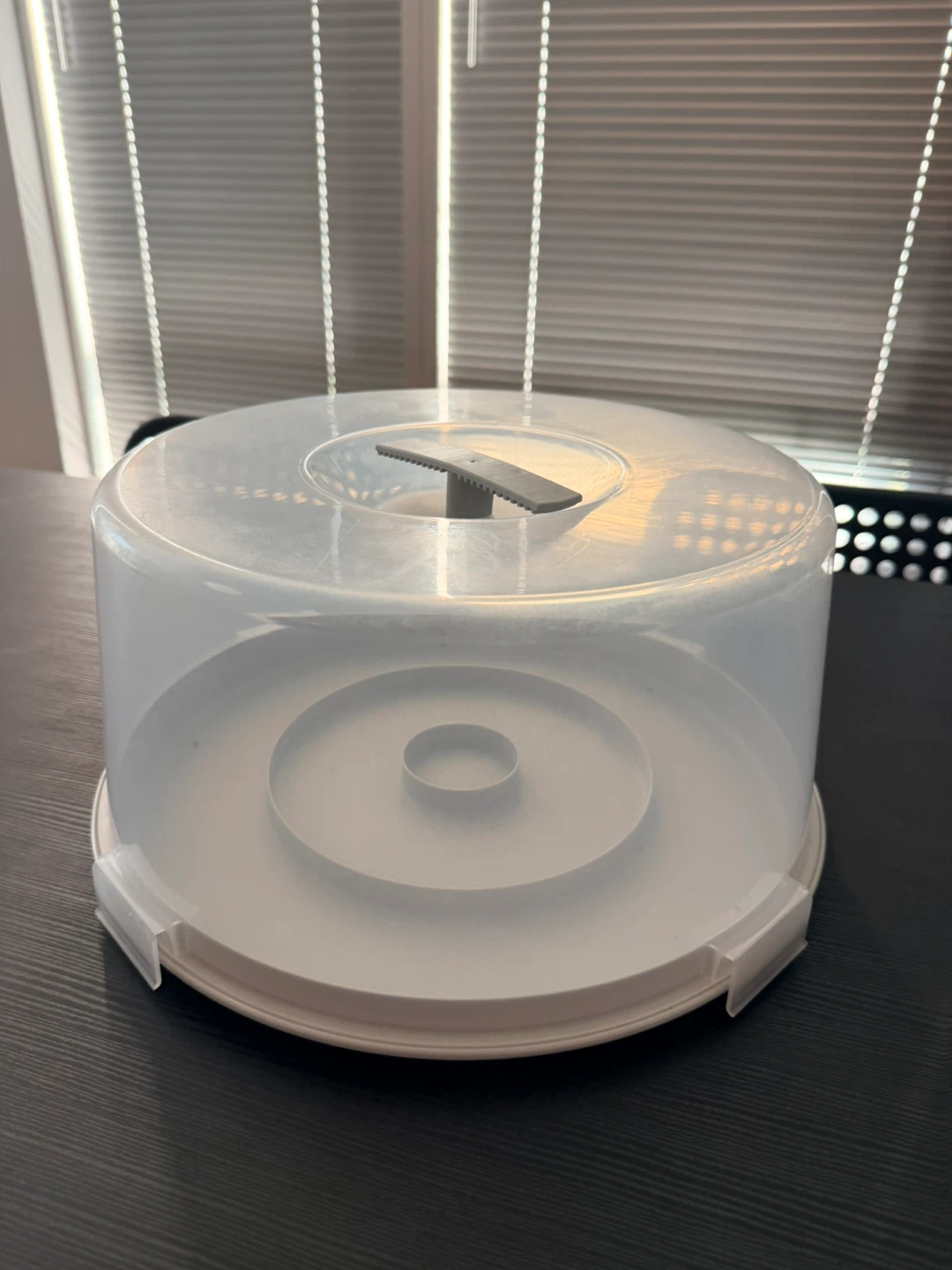 IKEA Clear Plastic Cake Carrier with Lid