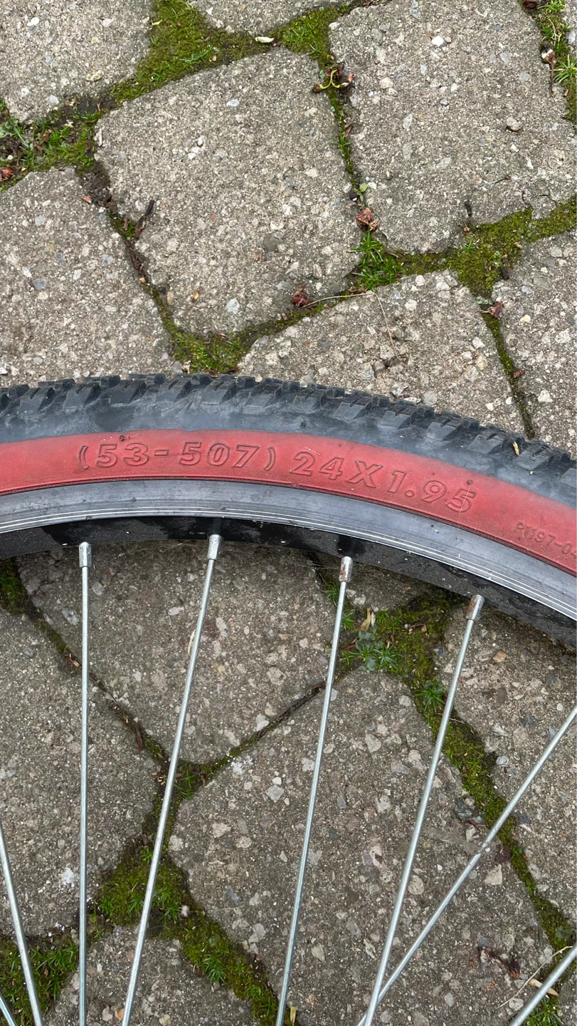24x1.95 Bicycle Wheel with Red Trim - photo 2