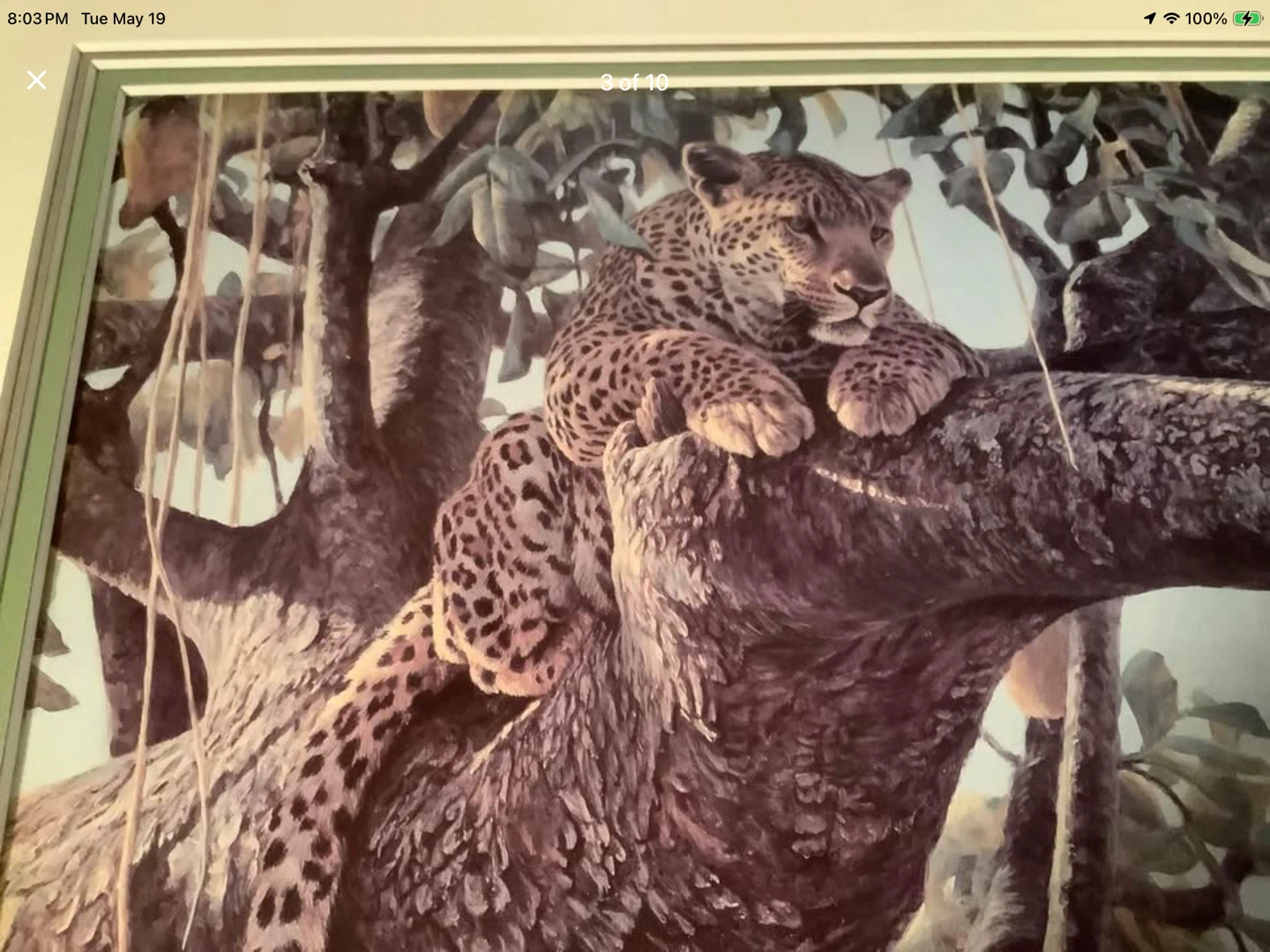 Cdn Artist Robert Bateman’s Print “Leopard in a Sausage Tree” 🐞 - photo 5