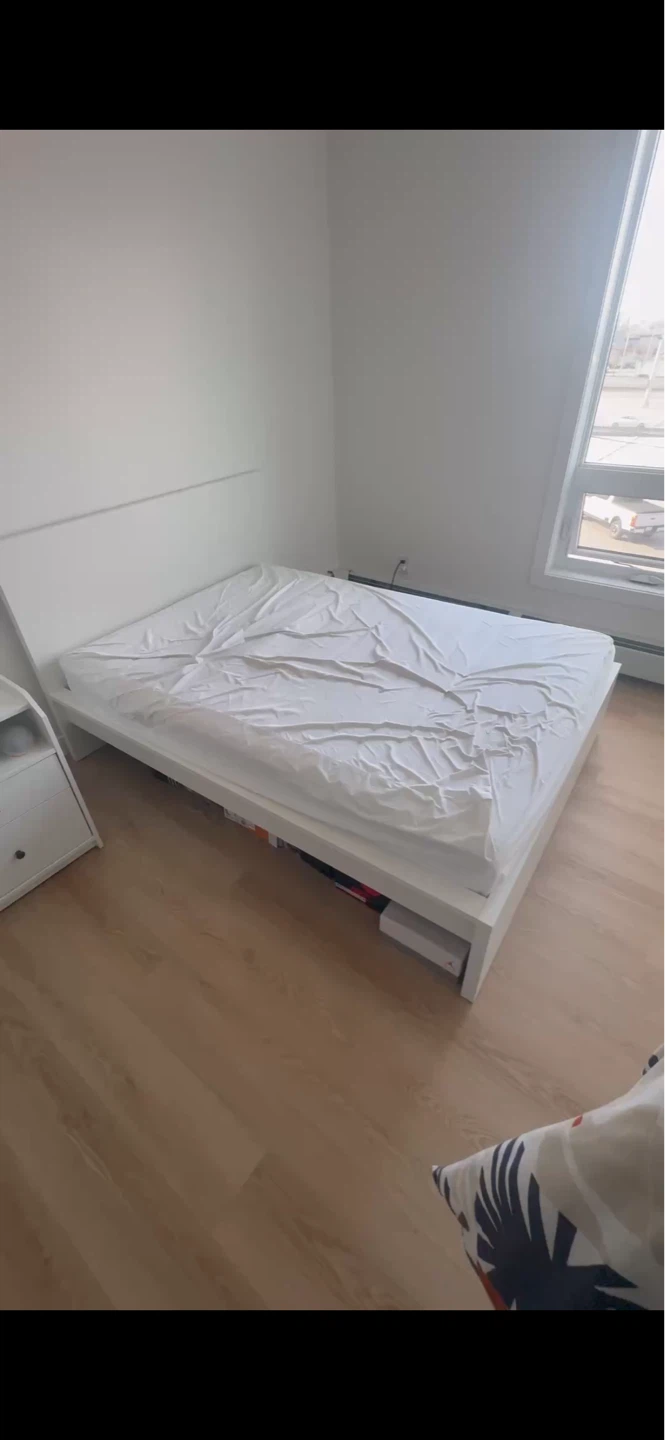 Ikea Bed Frame and Mattress (2 Available)