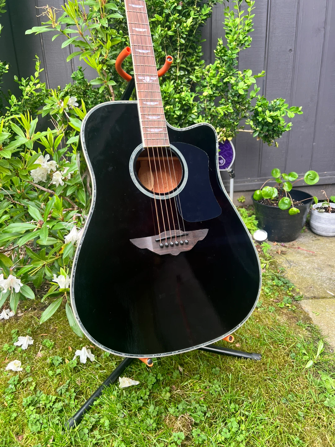 Keith Urban Player Acoustic Guitar 🚛 FREE DELIVERY - photo 2
