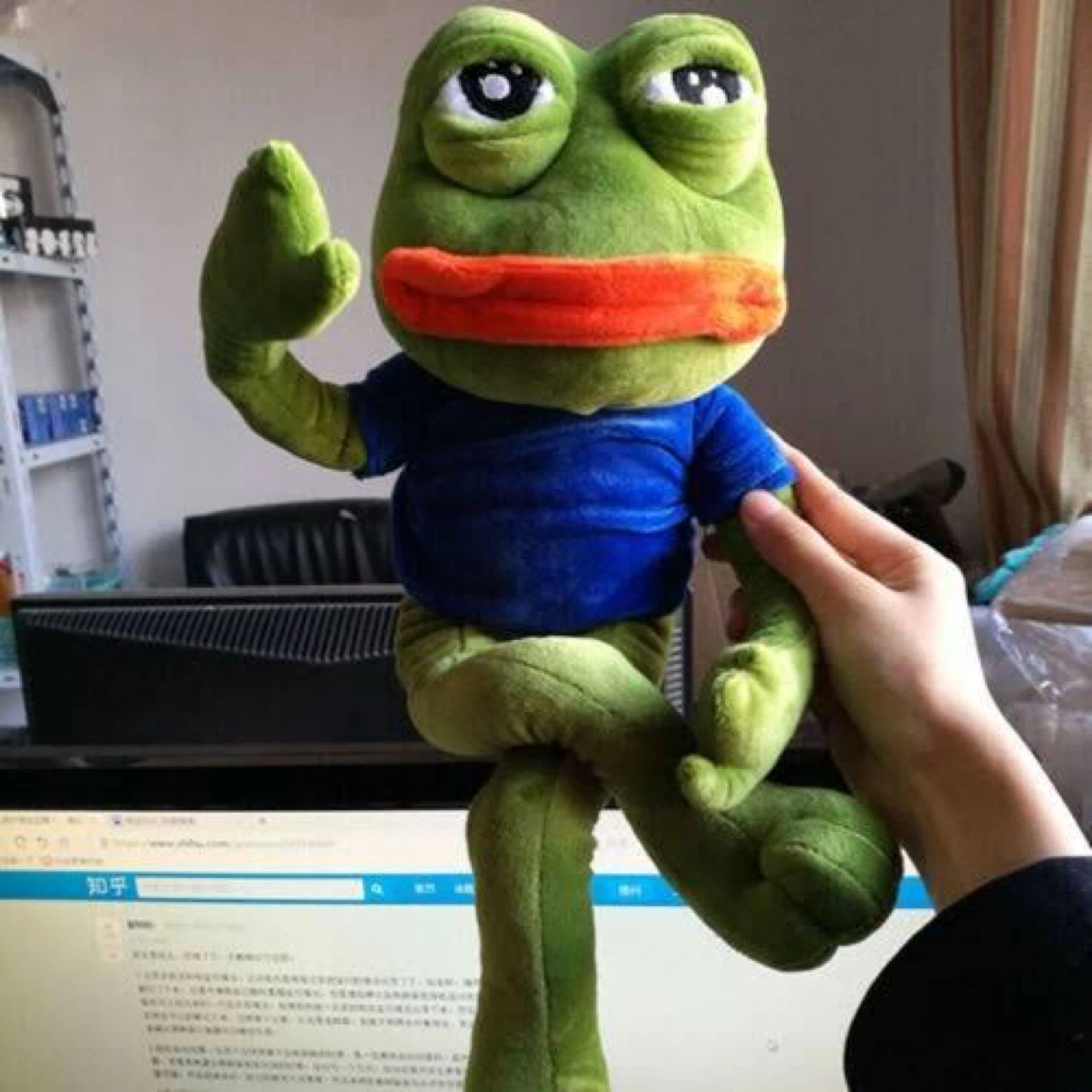 Pepe the Frog Plush Toy