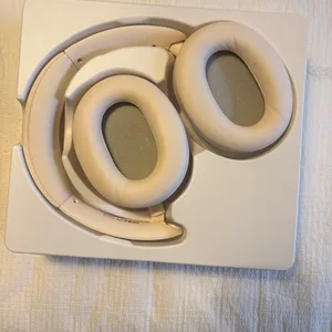 Head phones, case, charger