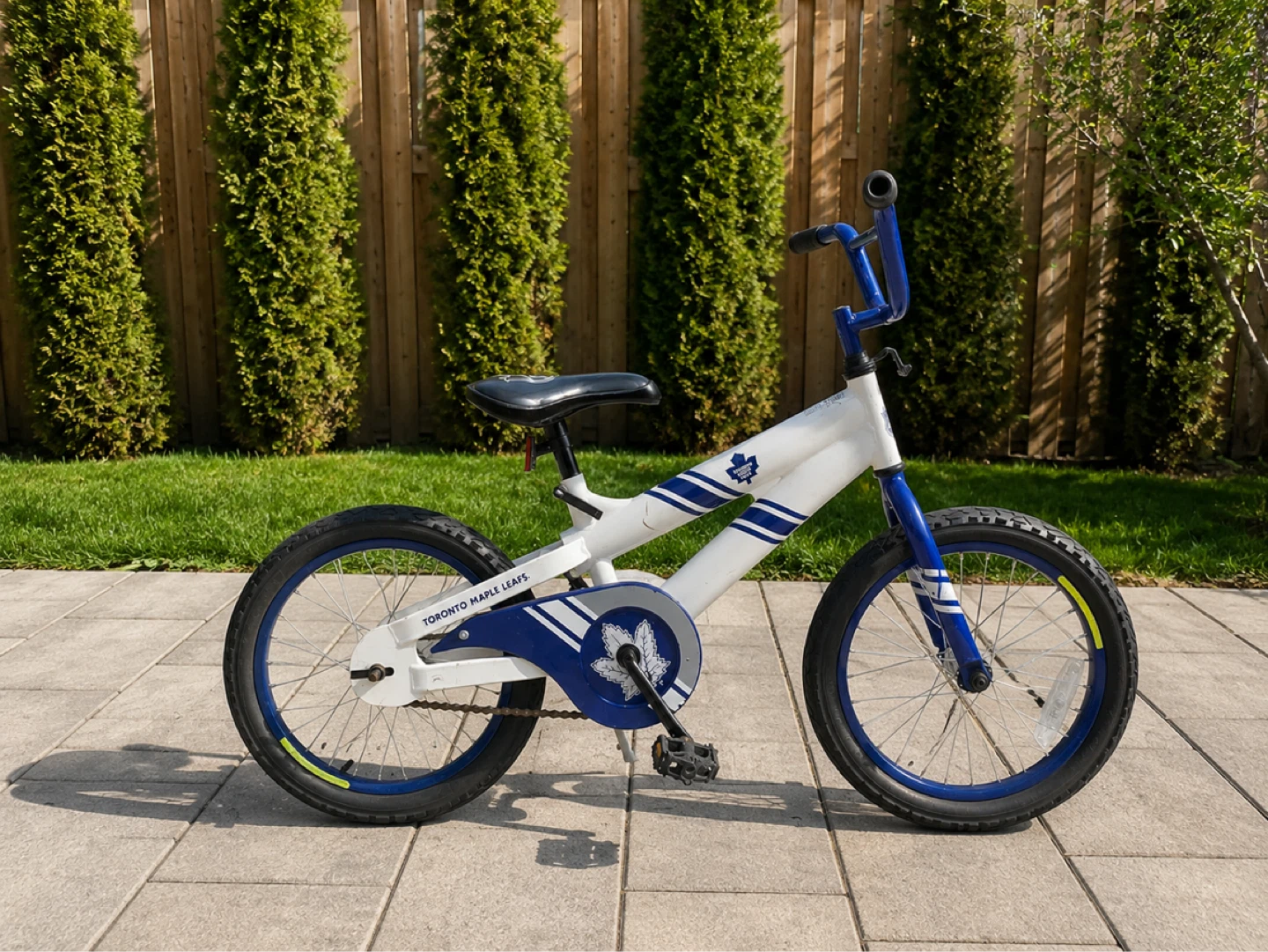 🔥 Quick Sale: 16-inch Maple Leafs Kids Bicycle 🍁