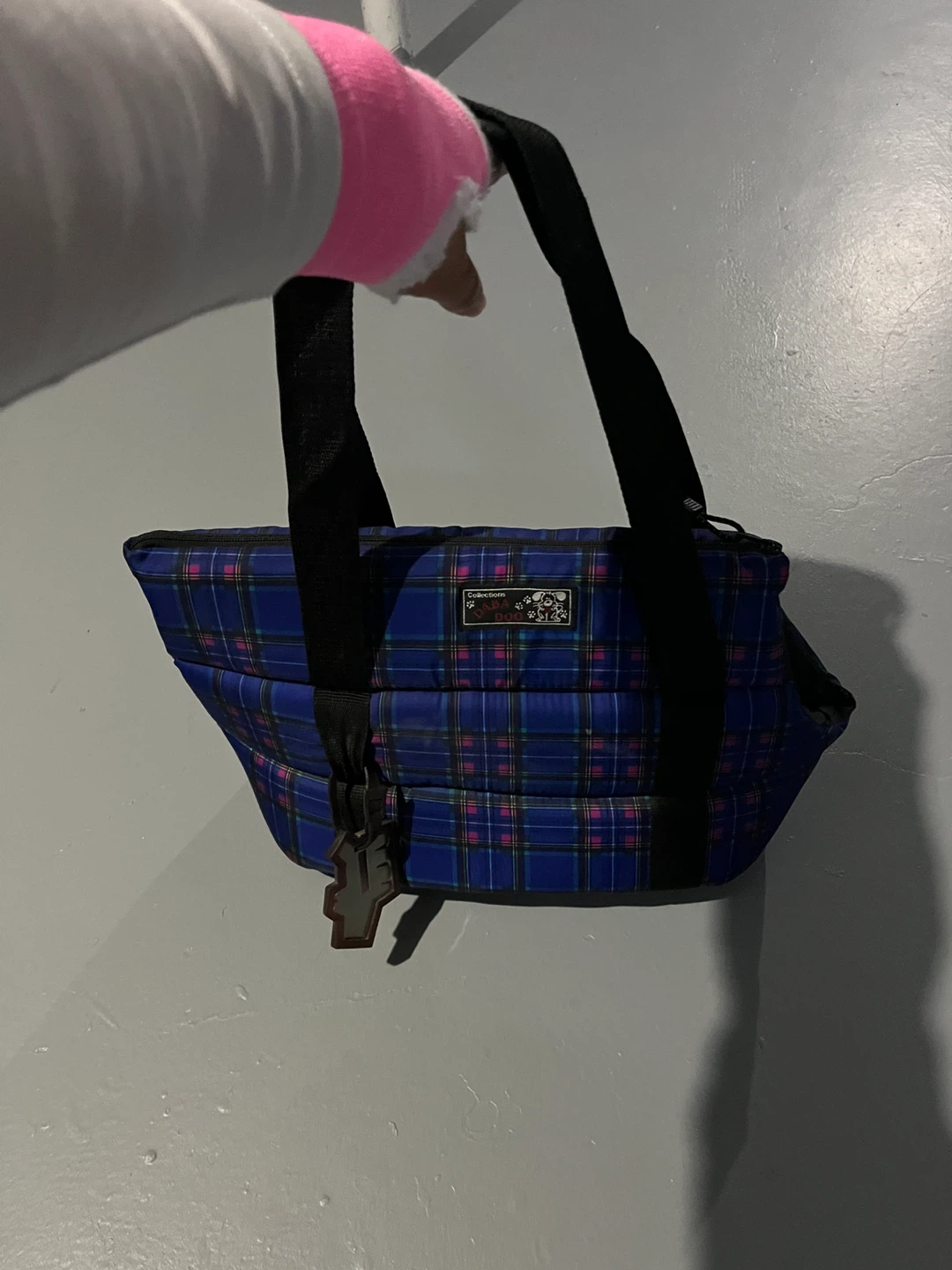 Pet carrier Shoulder Bag