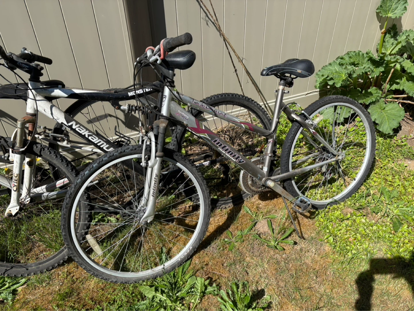 3 adult sized bikes - photo 2