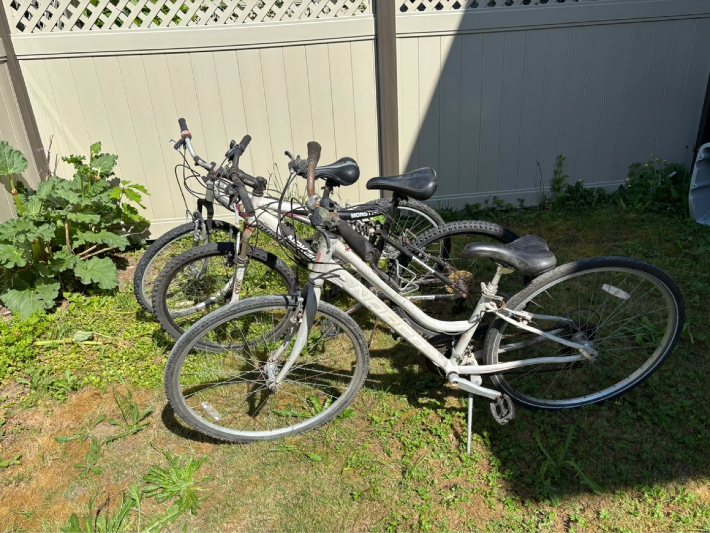 3 adult sized bikes - photo 4