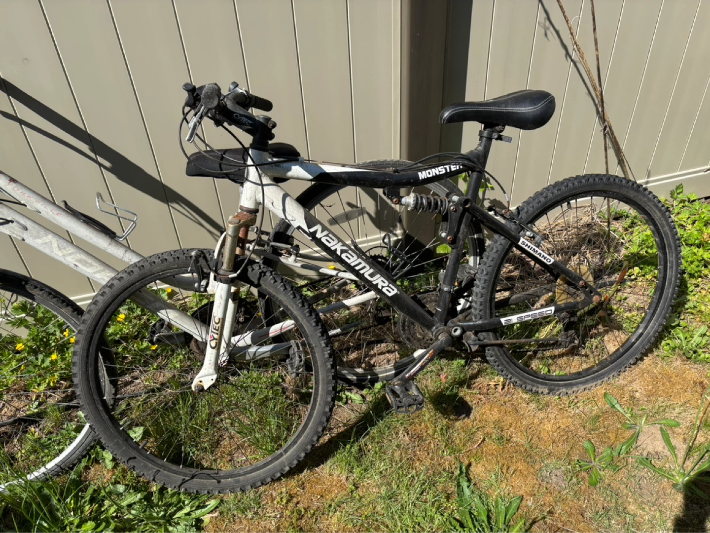 3 adult sized bikes - photo 3