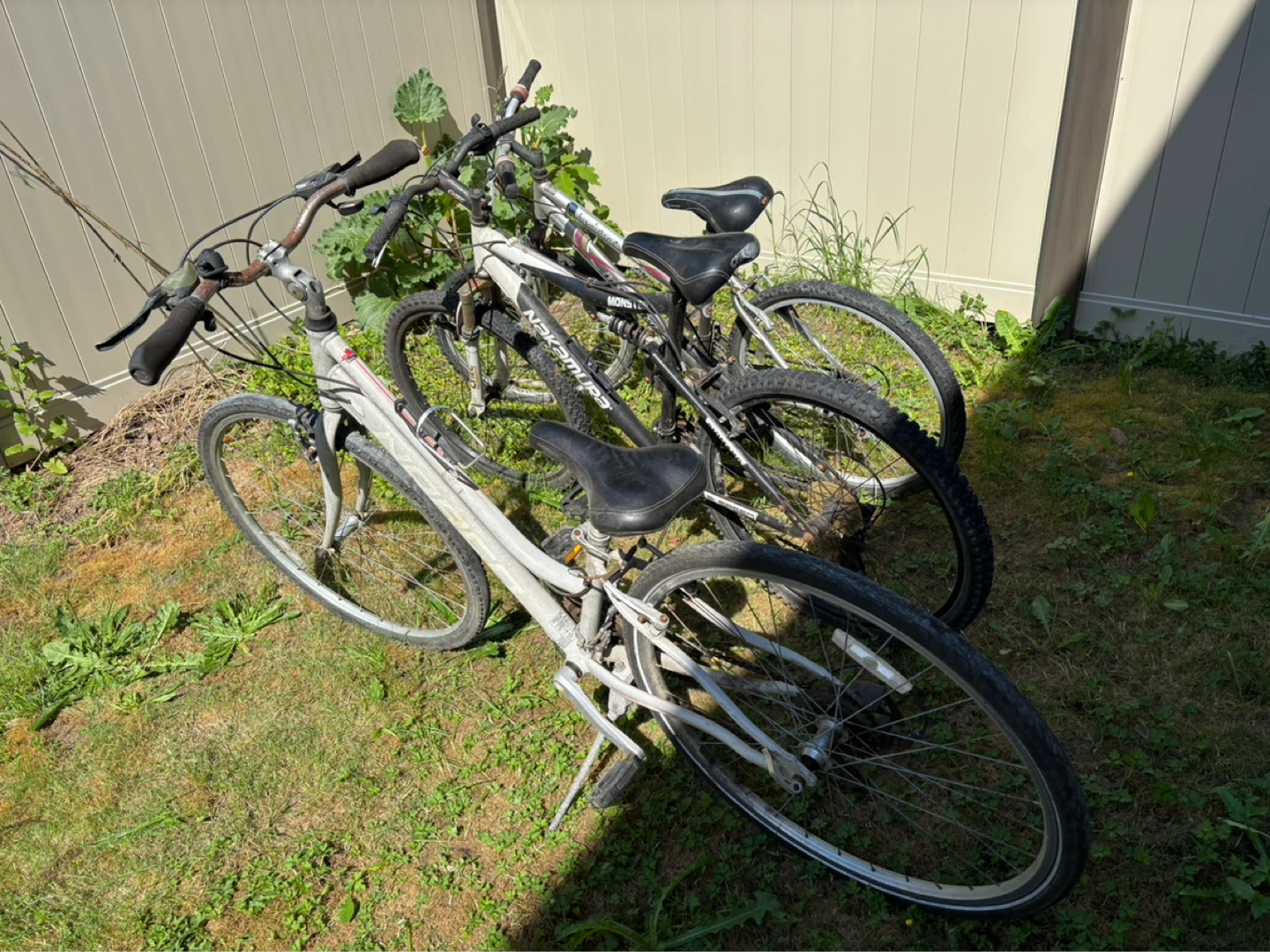 3 adult sized bikes - photo 5