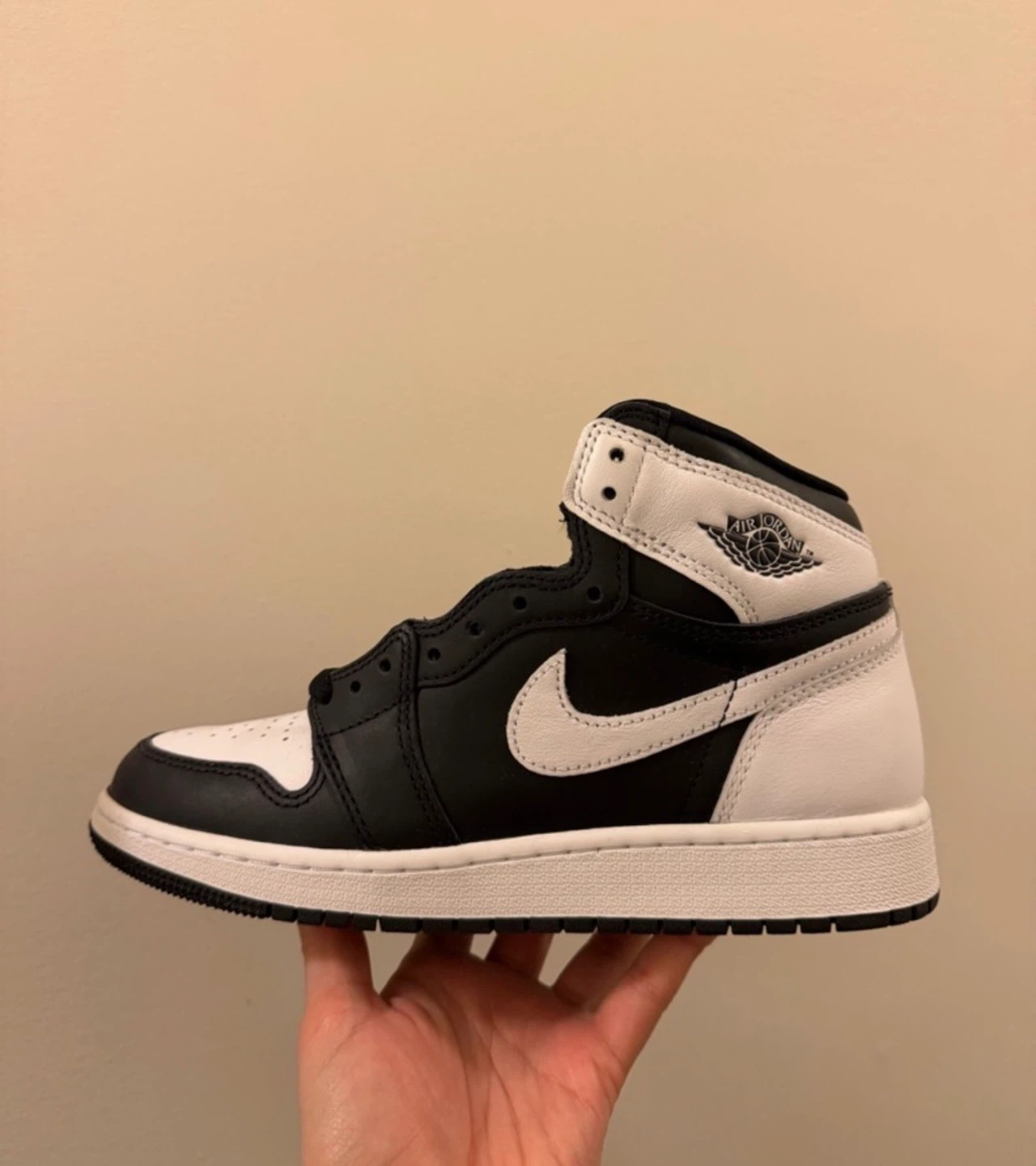 Air Jordan 1 High (Black/White)