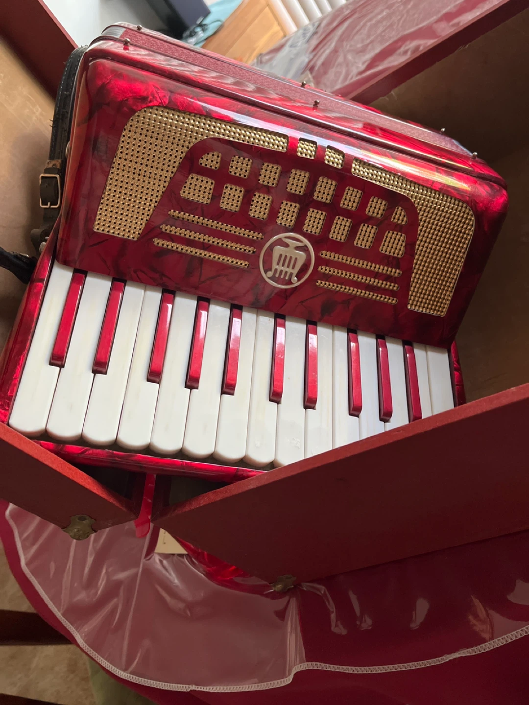 Red Accordion with Case
